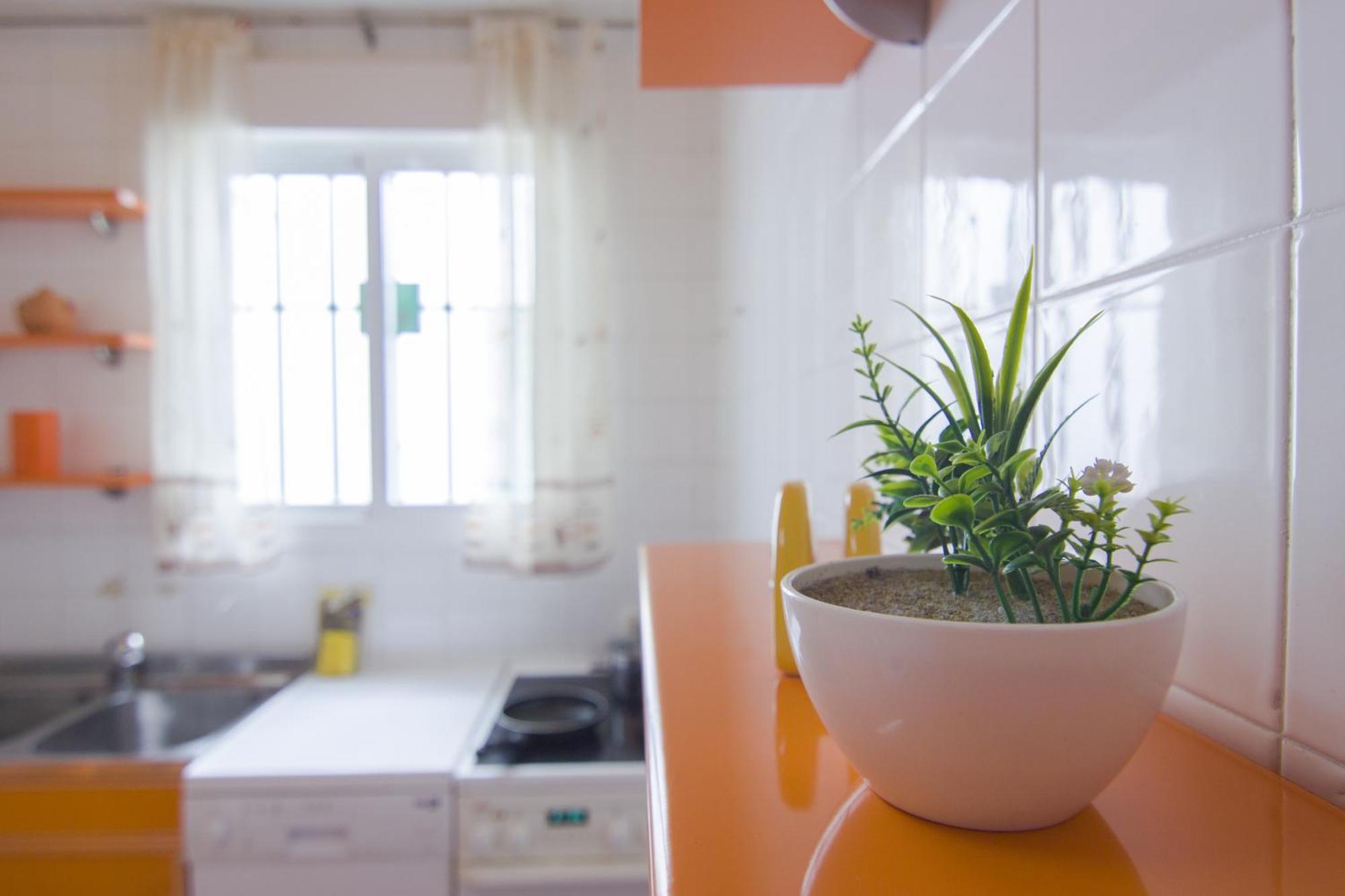 Rentalsevilla Buiza Y Mensaque エクステリア 写真